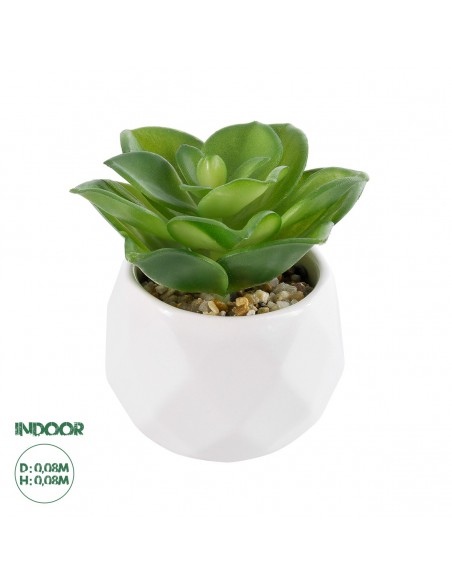 GloboStar® Artificial Garden SUCCULENT ECHEVERIA 21003...