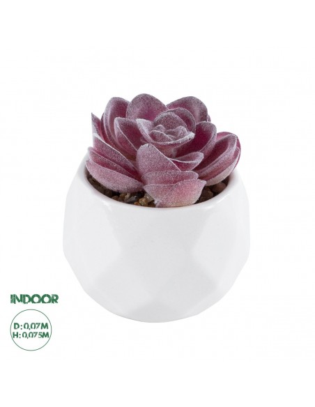 GloboStar® Artificial Garden SUCCULENT ECHEVERIA 21000...
