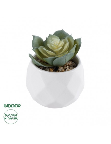 GloboStar® Artificial Garden SUCCULENT ECHEVERIA 20980...