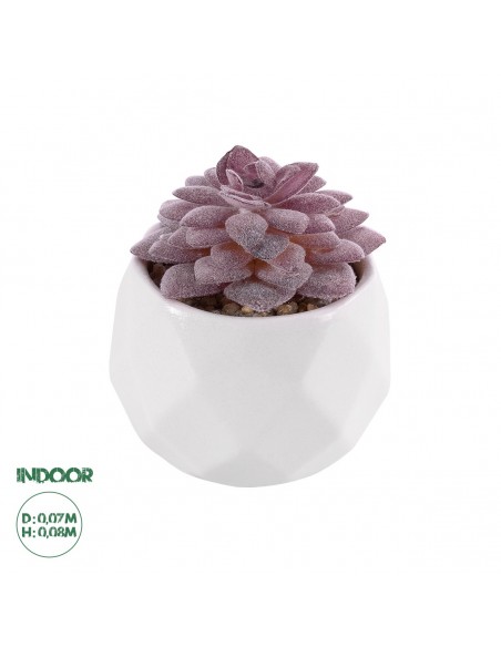 GloboStar® Artificial Garden SUCCULENT SEDEVERIA 21005...