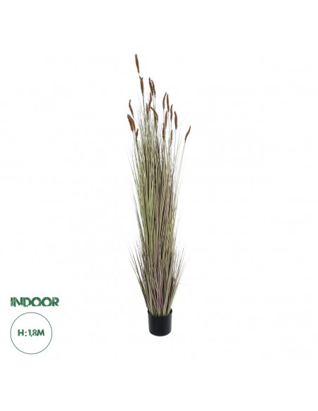 GloboStar® Artificial Garden BROWN LAGURUS 21103 Διακοσμητικό Φυτό Καφέ Λαγοουρά Υ180cm