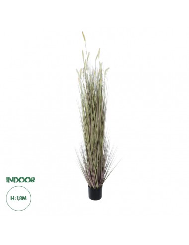 GloboStar® Artificial Garden BEIGE LAGURUS...