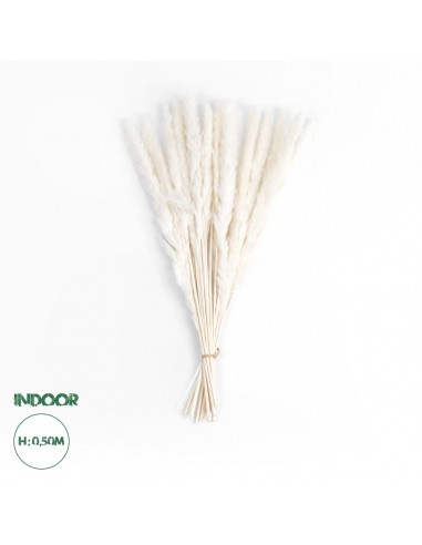 GloboStar® Artificial Garden REAL DRIED BEIGE PAMPAS GRASS BUNCH 21116 Αποξηραμένο Διακοσμητικό Μπουκέτο Pampas Μπέζ Y50cm