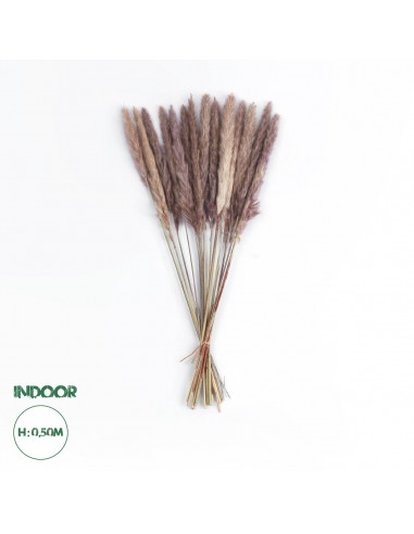 GloboStar® Artificial Garden REAL DRIED BROWN PAMPAS GRASS BUNCH 21115 Αποξηραμένο Διακοσμητικό Μπουκέτο Pampas Kάφε Y50cm