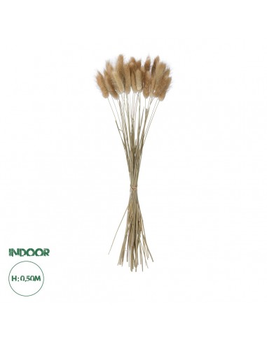 GloboStar® Artificial Garden REAL DRIED BEIGE...