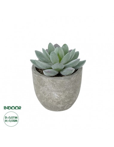 GloboStar® Artificial Garden SUCCULENT SEDEVERIA POTTED PLANT 21016 Διακοσμητικό Φυτό Σεδεβέρια  Φ7 x Υ8cm