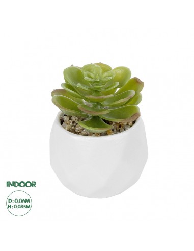 GloboStar® Artificial Garden SUCCULENT ECHEVERIA POTTED PLANT 20991 Διακοσμητικό Φυτό Εχεβέρια Φ6 x Υ8,5cm