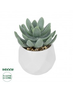 GloboStar® Artificial Garden SUCCULENT SEDEVERIA POTTED...