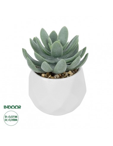 GloboStar® Artificial Garden SUCCULENT SEDEVERIA POTTED PLANT 20998 Διακοσμητικό Φυτό Σεδεβέρια  Φ7 x Υ9cm