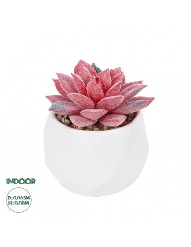 GloboStar® Artificial Garden SUCCULENT SEDEVERIA POTTED PLANT 20989 Διακοσμητικό Φυτό Σεδεβέρια Φ6,5 x Υ8cm