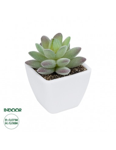 GloboStar® Artificial Garden  SUCCULENT SEDEVERIA POTTED PLANT 20975 Διακοσμητικό Φυτό Φοίνικα Σερενόα Φ7 x Υ8cm