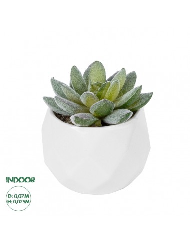 GloboStar® Artificial Garden SUCCULENT SEDEVERIA POTTED PLANT 20987 Διακοσμητικό Φυτό Σεδεβέρια Φ7 x Υ7,5cm