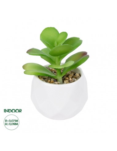 GloboStar® Artificial Garden SUCCULENT KALANCHOE POTTED PLANT 20995 Διακοσμητικό Φυτό Καλαχόη  Φ8 x Υ10cm