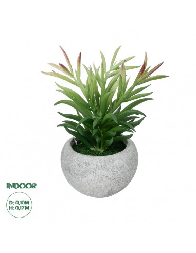 GloboStar® Artificial Garden SUCCULENT CRASSULA POTTED PLANT 21038 Διακοσμητικό Φυτό Κρασούλα  Φ10 x Υ17cm