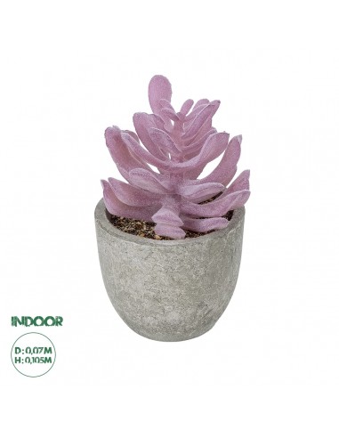 GloboStar® Artificial Garden SUCCULENT CRASSULA POTTED PLANT 21029 Διακοσμητικό Φυτό Κρασούλα  Φ7 x Υ10,5cm