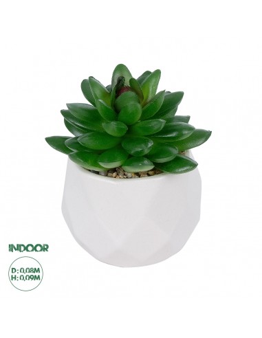 GloboStar® Artificial Garden SUCCULENT SEDEVERIA POTTED PLANT 21002 Διακοσμητικό Φυτό Σεδεβέρια  Φ8 x Υ9cm