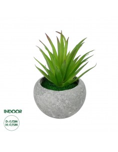 GloboStar® Artificial Garden AIR PLANT TILLANDSIA POTTED...