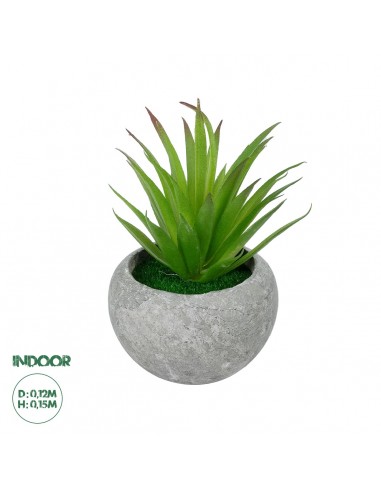 GloboStar® Artificial Garden AIR PLANT TILLANDSIA POTTED PLANT 21036 Διακοσμητικό Φυτό Τιλάντσια Φ12 x Υ15cm