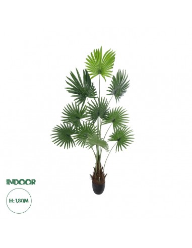 GloboStar® Artificial Garden SERENOA PALM PLANT 20972 Διακοσμητικό Φυτό Φοίνικα Σερενόα Φ103 x Υ180cm