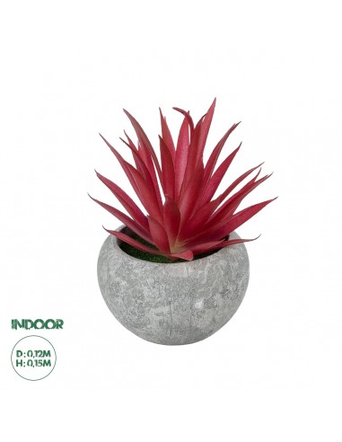 GloboStar® Artificial Garden AIR PLANT TILLANDSIA POTTED PLANT 21035 Διακοσμητικό Φυτό Τιλάντσια Φ12 x Υ15cm