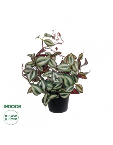 GloboStar® Artificial Garden ZEBRINA PLANT 20961 Διακοσμητικό Φυτό Ζεμπρίνα Φ45 x Υ22cm