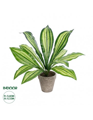 GloboStar® Artificial Garden  DRACAENA POTTED PLANT 20907 Διακοσμητικό Φυτό Δράκενα Φ40 x Υ33cm