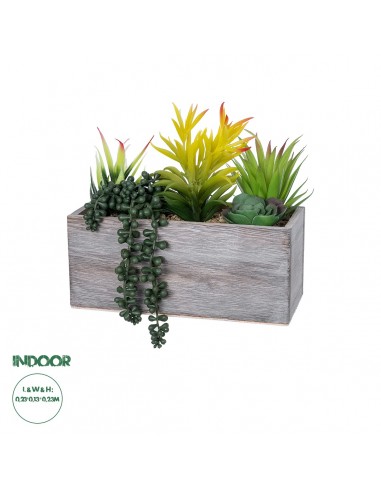 GloboStar® Artificial Garden SUCCULENT VARIUS PLANT POTTED 21034 Διακοσμητικό Φυτό Μίξ Μ25 x Υ22cm