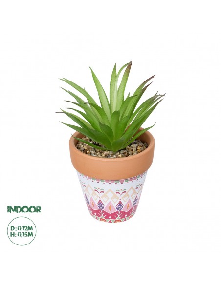 GloboStar® Artificial Garden AIR PLANT NEOPHYTUM POTTED PLANT 21043 Διακοσμητικό Φυτό Νεόφυτο Φ12 x Υ15cm