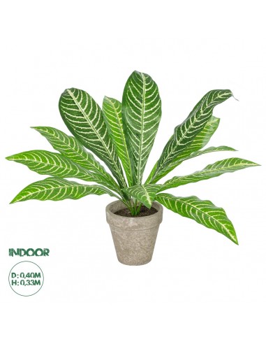 GloboStar® Artificial Garden  ZEBRA POTTED PLANT 20906 Διακοσμητικό Φυτό Ζέμπρα Φ40 x Υ33cm