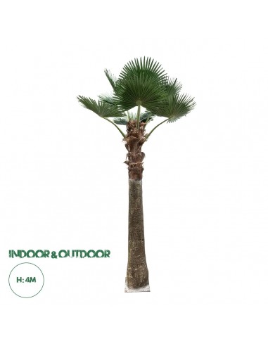 GloboStar® Artificial Garden PLANT PALM TREE 21055 Διακοσμητικό Δέντρο Φοίνικα  Φ240 x Υ400cm