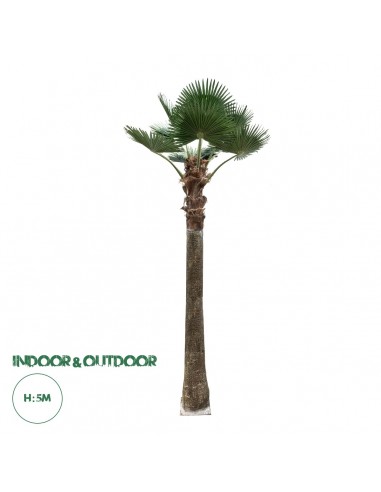 GloboStar® Artificial Garden PLANT PALM TREE 21056 Διακοσμητικό Δέντρο Φοίνικα  Φ240 x Υ500cm