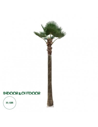 GloboStar® Artificial Garden PLANT PALM TREE 21057 Διακοσμητικό Δέντρο Φοίνικα  Φ240 x Υ600cm