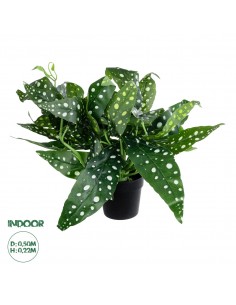 GloboStar® Artificial Garden BEGONIA POLKA DOT PLANT...