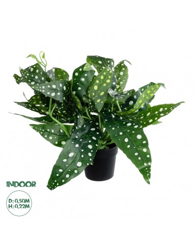 GloboStar® Artificial Garden BEGONIA POLKA DOT PLANT 20959 Διακοσμητικό Φυτό Βιγόνια Φ50 x Υ22cm