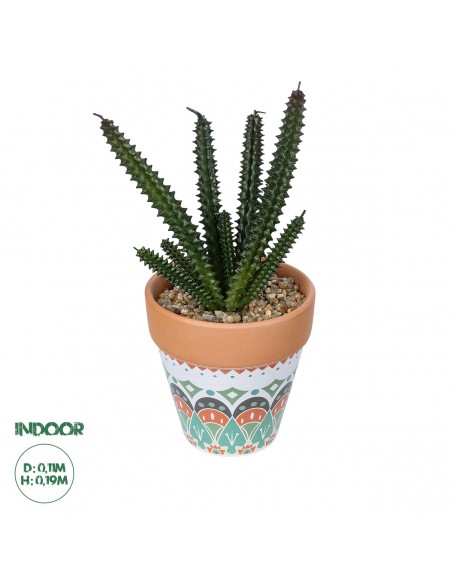 GloboStar® Artificial Garden SUCCULENT EUPHORBIA POTTED PLANT 21045 Διακοσμητικό Φυτό Ευφορβία Φ11 x Υ19cm