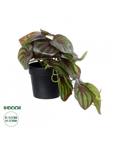 GloboStar® Artificial Garden BROWN PEPEROMIA PLANT 20952 Διακοσμητικό Φυτό Καφέ Πεπερόμια Φ23 x Υ16cm