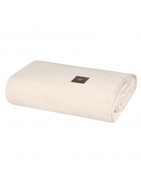 GREENWICH POLO CLUB ΡΙΧΤΑΡΙ 180Χ250 3922 ΙΒΟΥΑΡ