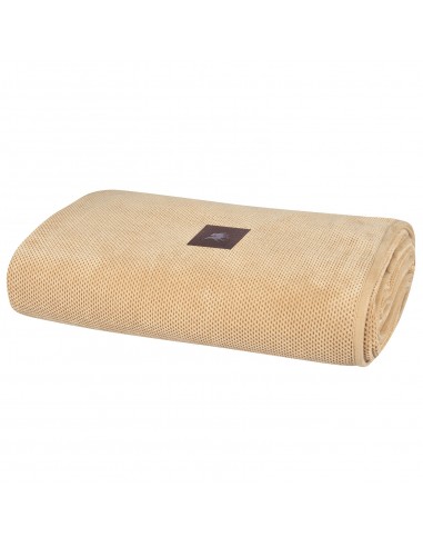 GREENWICH POLO CLUB ΡΙΧΤΑΡΙ 180Χ250 3923 ΜΠΕΖ