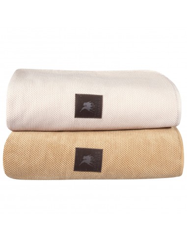 GREENWICH POLO CLUB ΡΙΧΤΑΡΙ 180Χ300 3923 ΜΠΕΖ