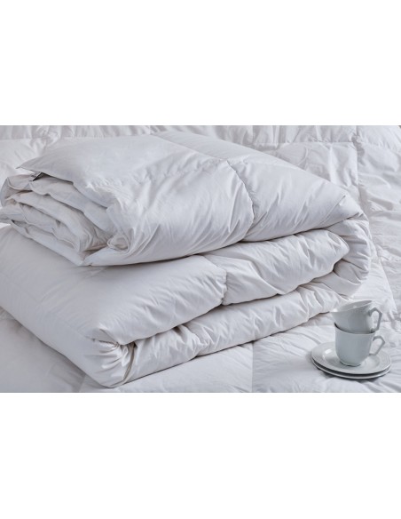 Πάπλωμα Πούπουλο Feather Sleep - Μονό 160x220