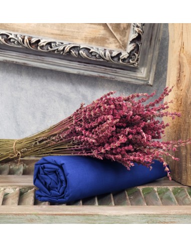 Σεντόνια Μονόχρωμα Λάστιχο Angel - Blue, Μονό...