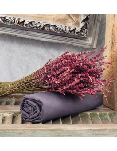 Σεντόνια Μονόχρωμα Λάστιχο Angel - D.Grey, Μονό...