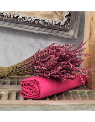 Σεντόνια Μονόχρωμα Λάστιχο Angel - Fuschia,...