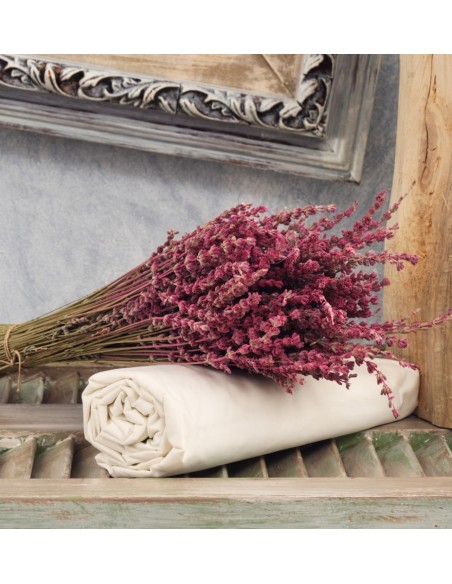 Σεντόνια Μονόχρωμα Λάστιχο Angel - Ivory, Διπλό λάστιχο (150x200+25)