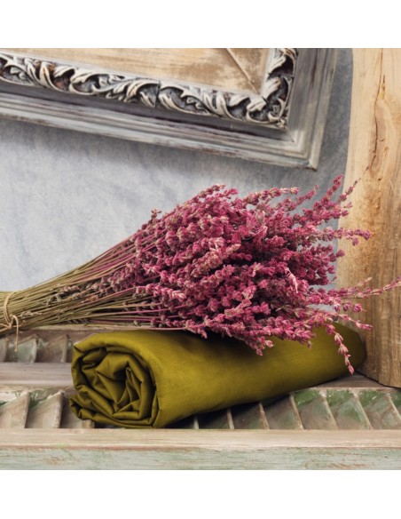 Σεντόνια Μονόχρωμα Λάστιχο Angel - Khaki, Διπλό λάστιχο (150x200+25)