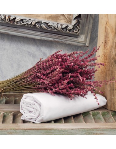 Σεντόνια Μονόχρωμα Λάστιχο Angel - White, Μονό...