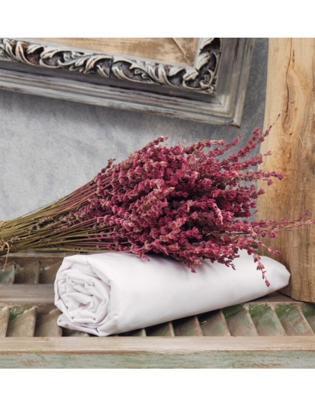 Σεντόνια Μονόχρωμα Λάστιχο Angel - White, Ημίδιπλo λάστιχο (120x200+25)