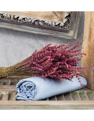 Σεντόνια Μονόχρωμα Λάστιχο Angel - L.Blue,...