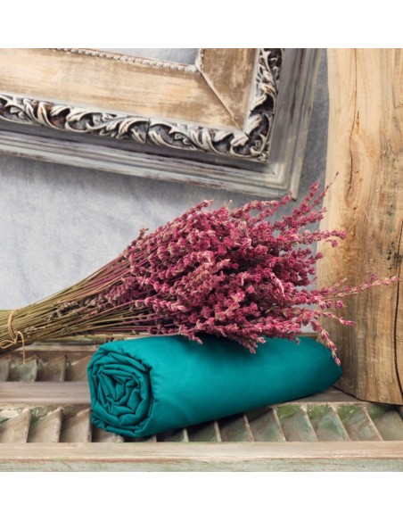 Σεντόνια Μονόχρωμα Λάστιχο Angel - Green, Ημίδιπλo λάστιχο (120x200+25)