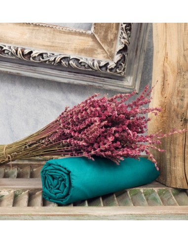 Σεντόνια Μονόχρωμα Λάστιχο Angel - Green, Διπλό...